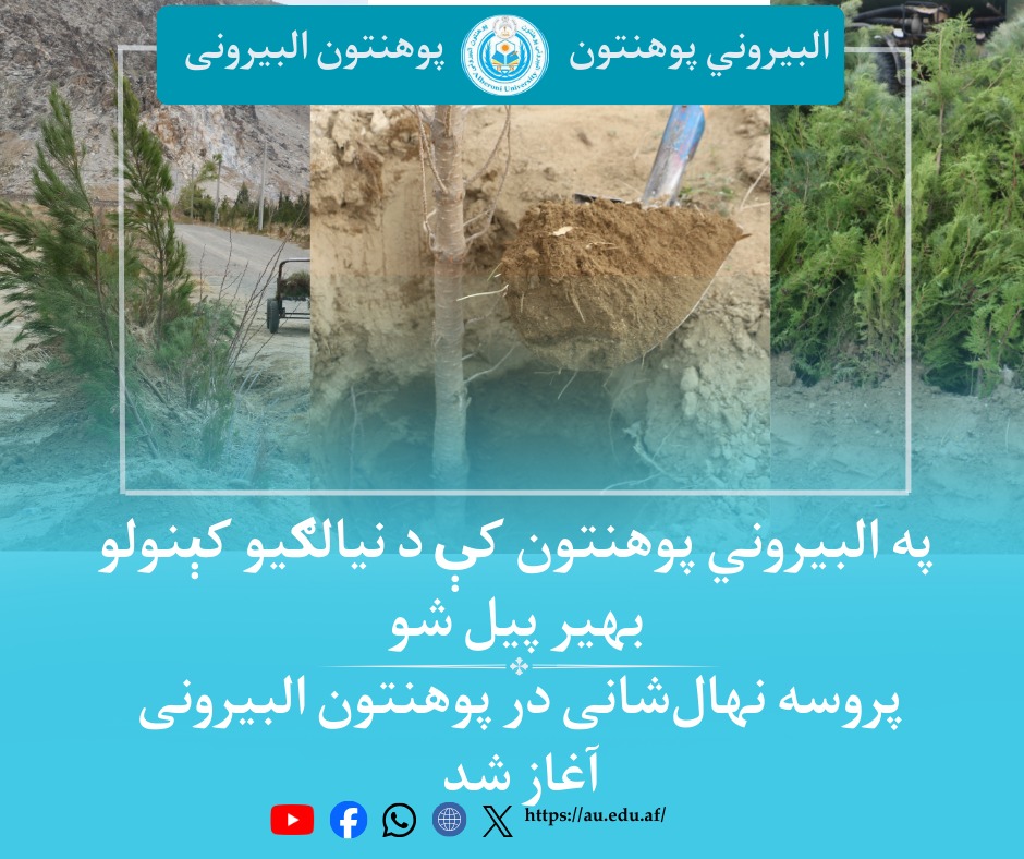 کمپاین نهال شانی